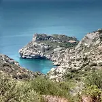 Alfieri קליארי